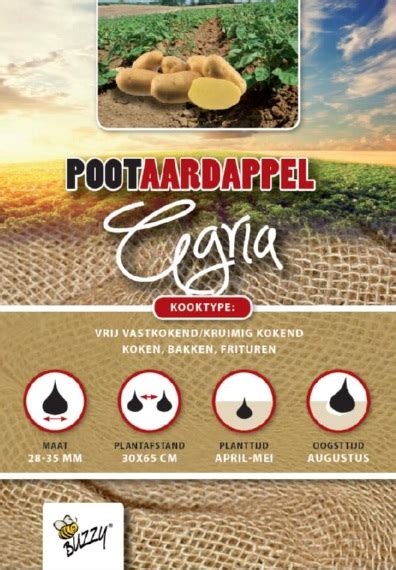pootaardappel agria